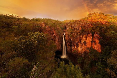 Full-Day Private Guided Tour To Litchfield National Park - Phillip Island Accommodation 20