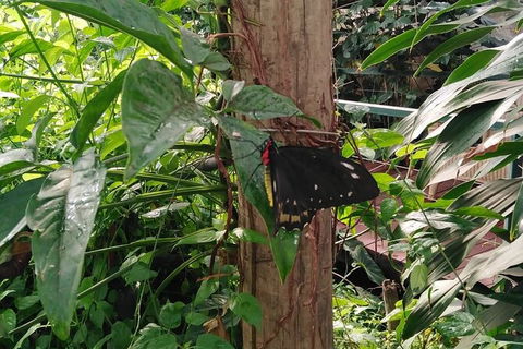 Full-Day Private Guided Tour To Litchfield National Park - Phillip Island Accommodation 1