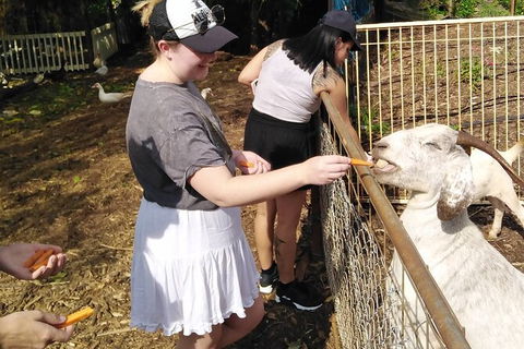 Full-Day Private Guided Tour To Litchfield National Park - Phillip Island Accommodation 4