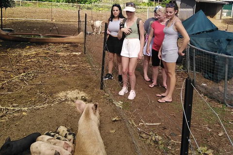 Full-Day Private Guided Tour To Litchfield National Park - Phillip Island Accommodation 13