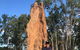 Full-Day Private Guided Tour To Litchfield National Park - thumb 9