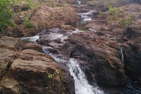 Full-Day Private Guided Tour To Litchfield National Park - Phillip Island Accommodation 15