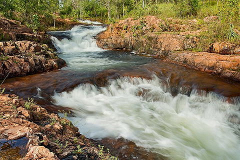 Full-Day Private Guided Tour To Litchfield National Park - Phillip Island Accommodation 3