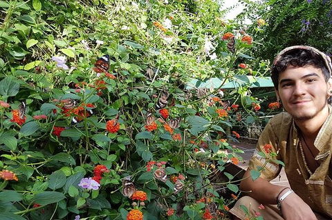 Full-Day Private Guided Tour To Litchfield National Park - Phillip Island Accommodation 17