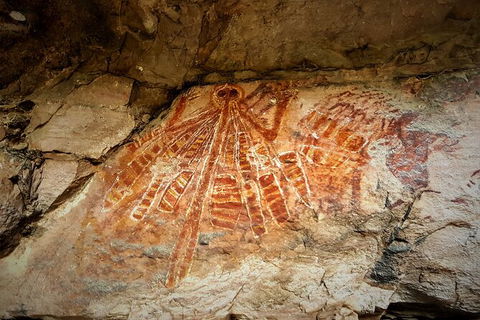 Arnhem Land Injalak Hill Full-Day Tour From Darwin - Phillip Island Accommodation 1