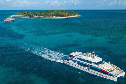 Ultimate 3-Day Great Barrier Reef Cruise Pass - Phillip Island Accommodation 5