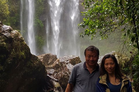 Small Group Tour (Max 6) Gold Coast Super 7 Waterfalls Tour: Springbrook - Phillip Island Accommodation 6