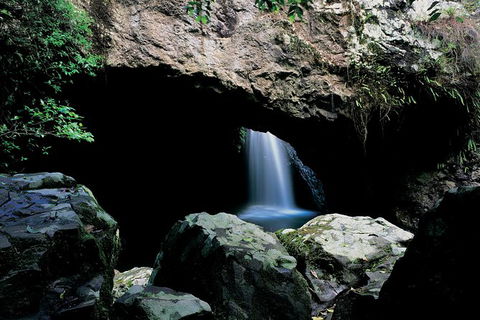Springbrook National Park & Gold Coast Full Day Luxury Tour From Brisbane - Phillip Island Accommodation 0