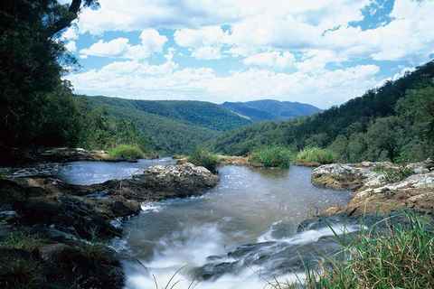 Springbrook National Park & Gold Coast Full Day Luxury Tour From Brisbane - Phillip Island Accommodation 2
