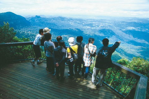Springbrook National Park & Gold Coast Full Day Luxury Tour From Brisbane - Phillip Island Accommodation 3