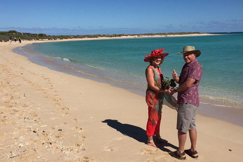 Elope In Paradise - Weddings At Mission Beach - Phillip Island Accommodation 6