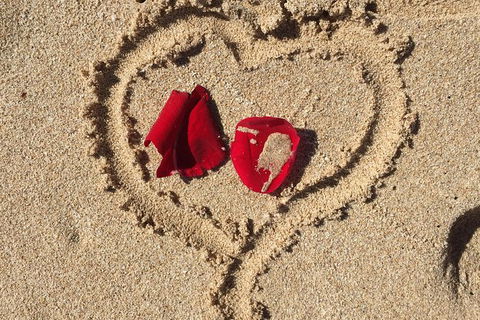 Elope In Paradise - Weddings At Mission Beach - Phillip Island Accommodation 3