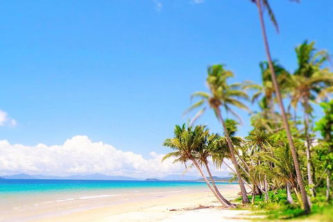 Airport Transfer - Mission Beach To Cairns Airport - Phillip Island Accommodation 3