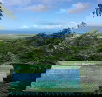 Daintree Luxury Limousine Tour - Full Day - Phillip Island Accommodation