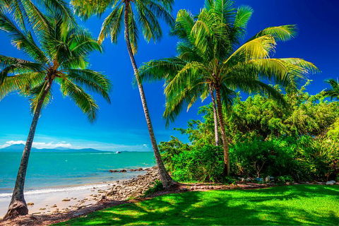 SHUTTLE - Port Douglas And Craiglie Return Transfer - Phillip Island Accommodation 2