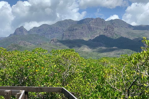 Hinchinbrook Island Tour - Phillip Island Accommodation 0