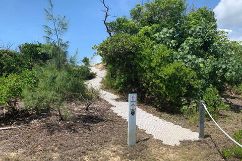 Hinchinbrook Island Tour - Phillip Island Accommodation 1