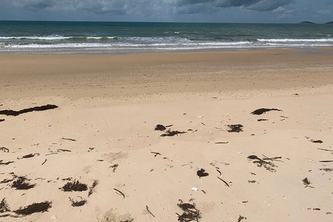 Hinchinbrook Island Tour - Phillip Island Accommodation 6