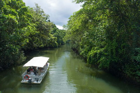 World Heritage Highlights: Reef/Daintree/Cape Tribulation - Phillip Island Accommodation 1