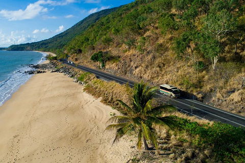 World Heritage Highlights: Reef/Daintree/Cape Tribulation - Phillip Island Accommodation 5