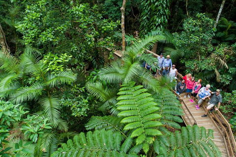 World Heritage Highlights: Reef/Daintree/Cape Tribulation - Phillip Island Accommodation 3
