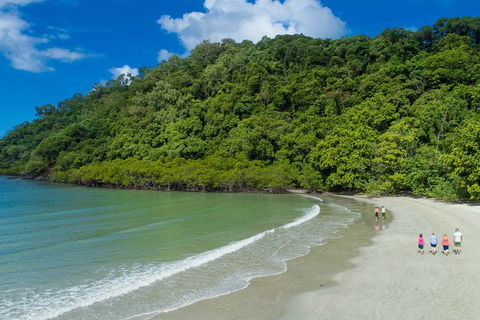 World Heritage Highlights: Reef/Daintree/Cape Tribulation - Phillip Island Accommodation 12