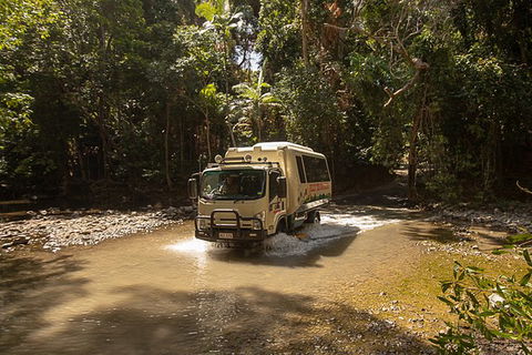World Heritage Highlights: Reef/Daintree/Cape Tribulation - Phillip Island Accommodation 6