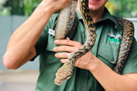 Virtual Interactive Australian Wildlife Tour With Private Guide-Wildlife Habitat - Phillip Island Accommodation 3