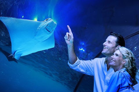 Cairns Aquarium Tour By Twilight With Drink And Appetiser - Phillip Island Accommodation 0