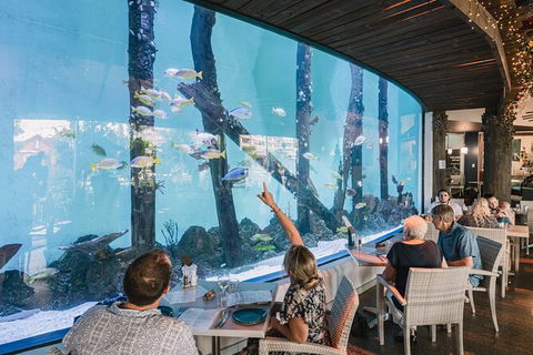 Cairns Aquarium Tour By Twilight With Drink And Appetiser - Phillip Island Accommodation 1