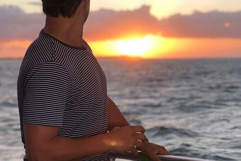 Sunset Twilight Cruise In Hervey Bay - Phillip Island Accommodation 3