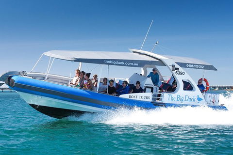 Seal Island Boat Tour From Victor Harbor - Phillip Island Accommodation 0