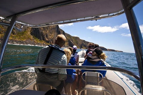 Seal Island Boat Tour From Victor Harbor - Phillip Island Accommodation 5