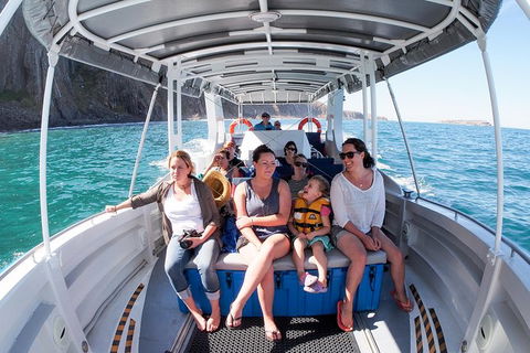 Seal Island Boat Tour From Victor Harbor - Phillip Island Accommodation 2