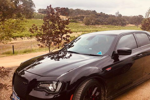 Intimate Wine Experience - McLaren Vale - Phillip Island Accommodation 2