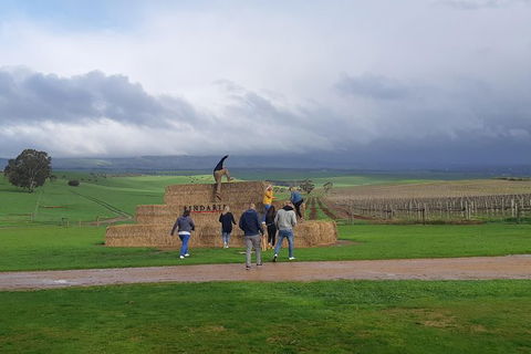 Private Wine Tour - Phillip Island Accommodation 4