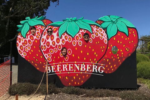 Adelaide Driving Tour - Phillip Island Accommodation 1