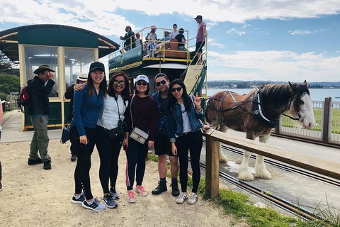 Adelaide Driving Tour - Phillip Island Accommodation 3