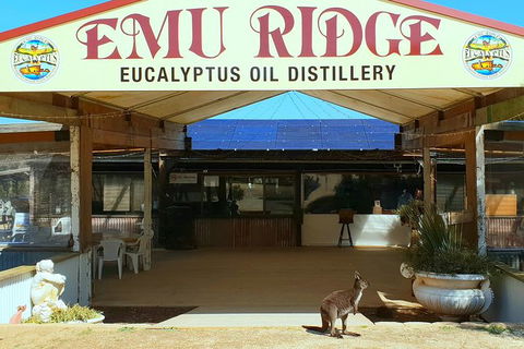 Full-Day Kangaroo Island Safari From Penneshaw - Phillip Island Accommodation 3