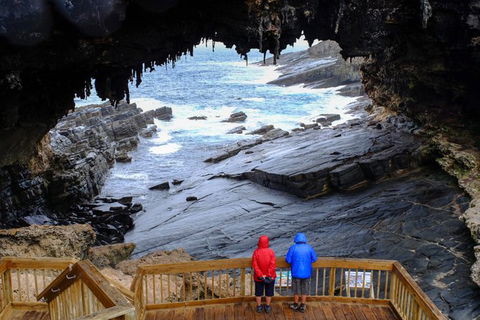 Full-Day Kangaroo Island Safari From Penneshaw - Phillip Island Accommodation 1