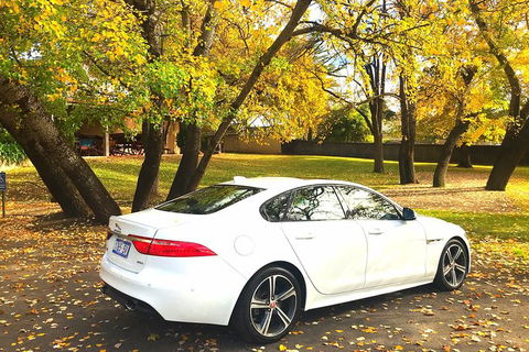 Luxury Jaguar Barossa Valley Half Day Private Tour For 2 - Phillip Island Accommodation 0
