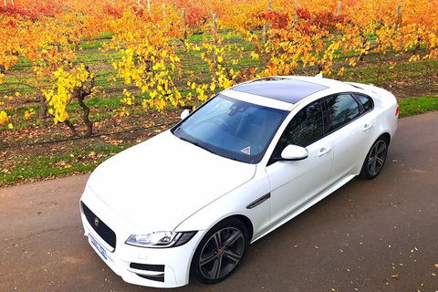 Luxury Jaguar Barossa Valley Half Day Private Tour For 2 - Phillip Island Accommodation 2