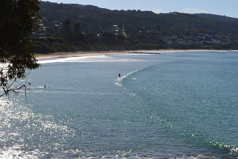 Small Group Great Ocean Road & 12 Apostles Tour - Phillip Island Accommodation 6