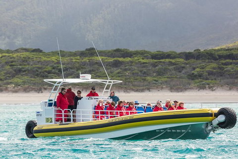 Wilsons Promontory Wilderness Cruise From Tidal River - Phillip Island Accommodation 2