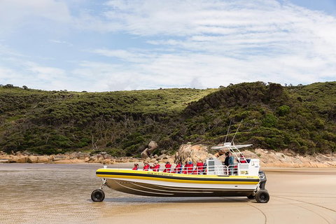 Wilsons Promontory Wilderness Cruise From Tidal River - Phillip Island Accommodation 1