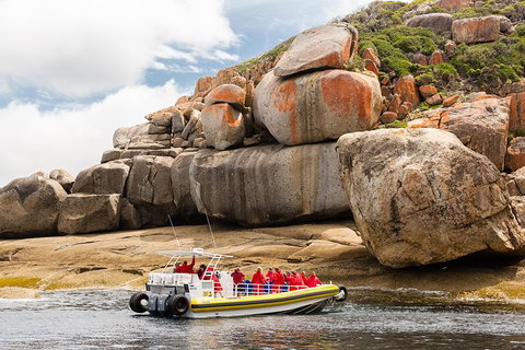 Wilsons Promontory Wilderness Cruise From Tidal River - Phillip Island Accommodation 5