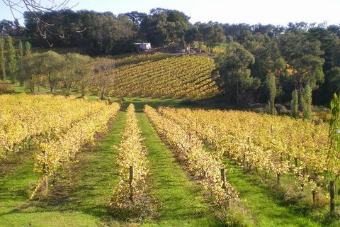 Macedon Ranges Winery Tour From Melbourne - Phillip Island Accommodation 1