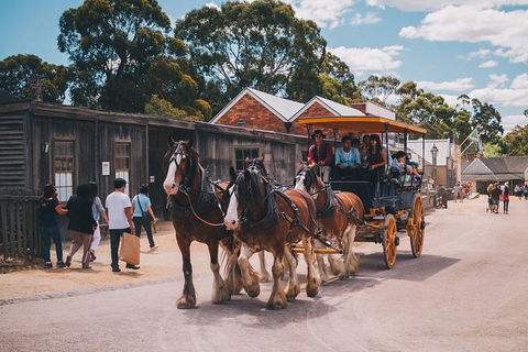 Sovereign Hill Heritage Sheep Farm Experience And Ballarat Gold Rush Day Tour From Melbourne - Phillip Island Accommodation 1