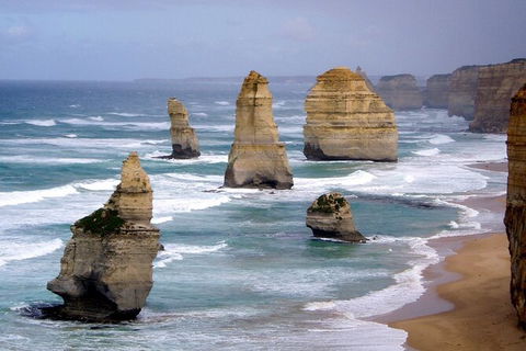 LGBT+ Friendly 2 Day Private Tour Great Ocean Road + Phillip Island - Phillip Island Accommodation 0