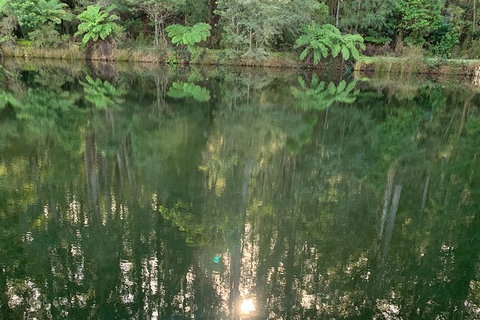 Hiking Tour To Aqueduct And Warburton Valley Lookout - Phillip Island Accommodation 2